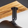 Gesteira Plafoniera, Lampadario a sospensione, Lampada da terra Legno chiaro, Nero, 1-Luce