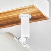 Gesteira Plafoniera, Faretto da soffitto Écru, Bianco, 4-Luci