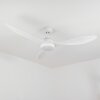 Follseland ventilatore da soffitto LED Bianco, 1-Luce, Telecomando