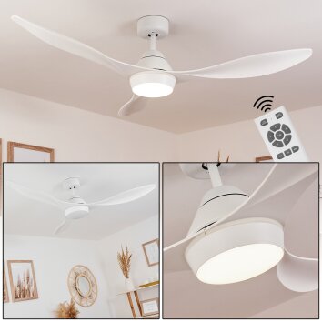 Follseland ventilatore da soffitto LED Bianco, 1-Luce, Telecomando