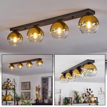 Koyoto  Lampadario a sospensione Vetro 15 cm Oro, Chiaro, 4-Luci