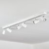 Gesteira Plafoniera, Faretto da soffitto Cromo, Bianco, 6-Luci