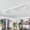 Gesteira Plafoniera, Faretto da soffitto Cromo, Bianco, 6-Luci