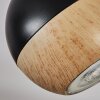 Haldor Plafoniera, Faretto da soffitto Marrone, Cromo, Nero, 3-Luci