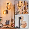 Chehalis Lampada a sfera, Applique Ambrato, 3-Luci