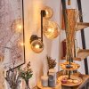 Chehalis Lampada a sfera, Applique Ambrato, 3-Luci