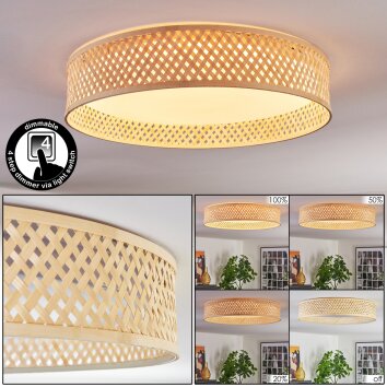 Barroco Plafoniera LED Écru, 1-Luce