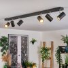 Gesteira Plafoniera, Faretto da soffitto Cromo, Nero, 6-Luci