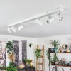 Gesteira Plafoniera, Faretto da soffitto Cromo, Bianco, 6-Luci