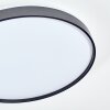 Sofo Plafoniera LED Nero, 1-Luce, Telecomando