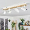 Gesteira Plafoniera, Faretto da soffitto Écru, Bianco, 4-Luci