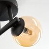 Chehalis Plafoniera, Lampada a sfera Ambrato, 3-Luci