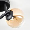 Chehalis Plafoniera, Lampada a sfera Ambrato, Chiaro, 3-Luci