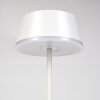 Romdrup Lampada da tavolo per esterno, Lampada da tavolo LED Bianco, 1-Luce