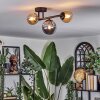 Chehalis Plafoniera, Lampada a sfera 23 cm Ambrato, Grigio fumo, 3-Luci