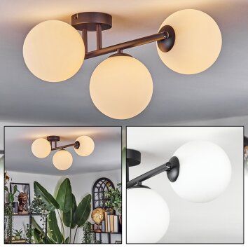 Chehalis Plafoniera, Lampada a sfera Bianco, 3-Luci