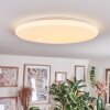 Junor Plafoniera LED Bianco, 1-Luce, Telecomando