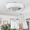 Dayen Plafoniera LED Argento, Bianco, 1-Luce, Telecomando
