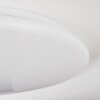 Junor Plafoniera LED Bianco, 1-Luce, Telecomando