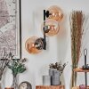 Chehalis Lampada a sfera, Applique Ambrato, 3-Luci