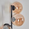 Chehalis Lampada a sfera, Applique Ambrato, 3-Luci