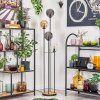 Gastor Lampada da terra 30 cm Legno scuro, Nero, 4-Luci