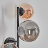 Chehalis Lampada a sfera, Applique Ambrato, Grigio fumo, 3-Luci