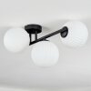 Chehalis Plafoniera, Lampada a sfera Bianco, 3-Luci