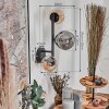 Chehalis Lampada a sfera, Applique Ambrato, Grigio fumo, 3-Luci