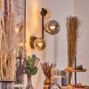 Chehalis Lampada a sfera, Applique Ambrato, Grigio fumo, 3-Luci
