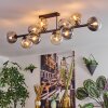 Gastor Plafoniera, Lampada a sfera Ambrato, Chiaro, Grigio fumo, 10-Luci