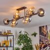Gastor Plafoniera, Lampada a sfera Ambrato, Chiaro, Grigio fumo, 10-Luci