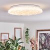 Deral Plafoniera LED Bianco, 1-Luce, Telecomando