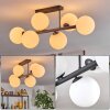 Gastor Plafoniera, Lampada a sfera Bianco, 6-Luci