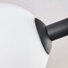 Gastor Plafoniera, Lampada a sfera Bianco, 6-Luci