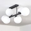 Gastor Plafoniera, Lampada a sfera Bianco, 6-Luci
