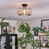 Boza Plafoniera Ambrato, Chiaro, 1-Luce