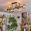 Gastor Plafoniera, Lampada a sfera Ambrato, Chiaro, Grigio fumo, 8-Luci