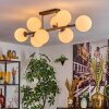 Chehalis Plafoniera, Lampada a sfera Bianco, 8-Luci