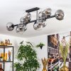 Chehalis Plafoniera, Lampada a sfera Chiaro, Grigio fumo, 10-Luci