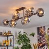 Chehalis Plafoniera, Lampada a sfera Chiaro, Grigio fumo, 10-Luci