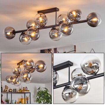 Chehalis Plafoniera, Lampada a sfera Chiaro, Grigio fumo, 10-Luci Chehalis Plafoniera, Lampada a sfera Chiaro, Grigio fumo, 10-Luci