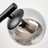 Chehalis Plafoniera, Lampada a sfera Grigio fumo, 3-Luci