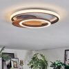 Rapoila Plafoniera LED Aspetto del legno, Nero, 1-Luce
