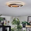 Rapoila Plafoniera LED Aspetto del legno, Nero, 1-Luce
