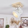 Herford Plafoniera Écru, Bianco, 1-Luce