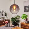 Lampadario a sospensione Degevos Cromo, 1-Luce