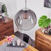 Lampadario a sospensione Degevos Cromo, 1-Luce