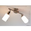 Reality Faretto da soffitto Acciaio inox, Bianco