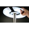 Illuminazione Trio Leuchten Quebec Lampada da pavimento LED Nichel opaco, 1-Luce